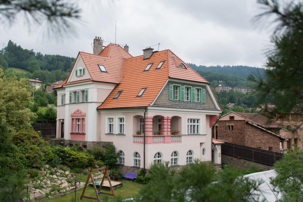 Penzion Signum Laudis Hotel Velké Hamry Exterior photo